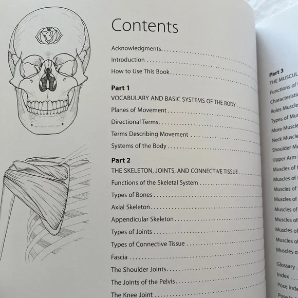 Yoga Anatomy Coloring Book: A Visual Guide to Form, Function, and Movement book - Picture 4 of 7